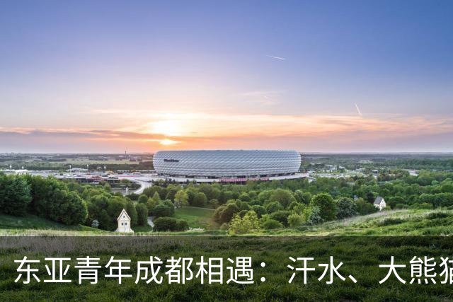 东亚青年成都相遇：汗水、大熊猫与友谊